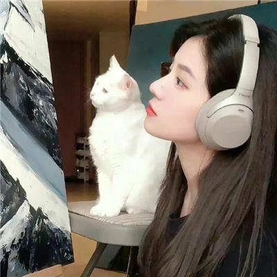 猫王巡回演唱会